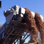 Wood Chip Conveyor_0